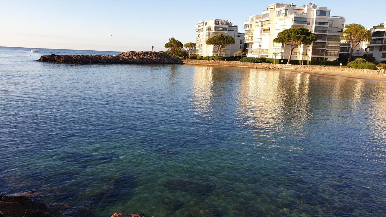 Garden And Beach Sea View Apartment Cannes Mandelieu 外观 照片